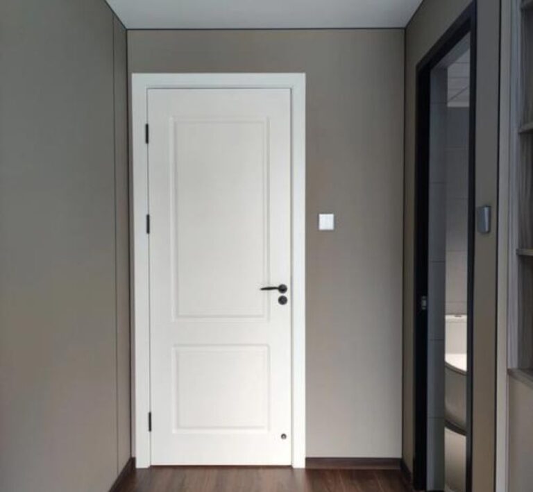 Modern Minimalist Door 1