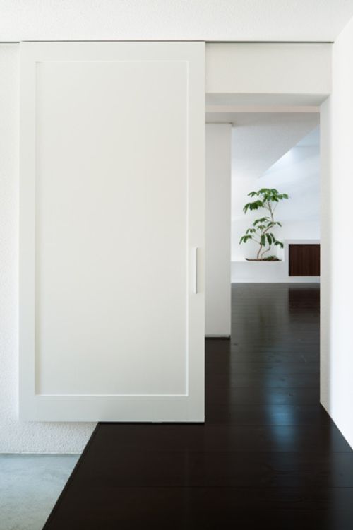 Pocket Door 5