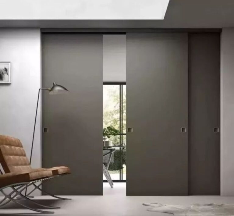 Pocket Door 1