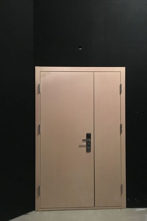 Steel Door 2
