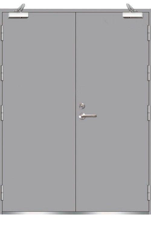 Steel Door 4