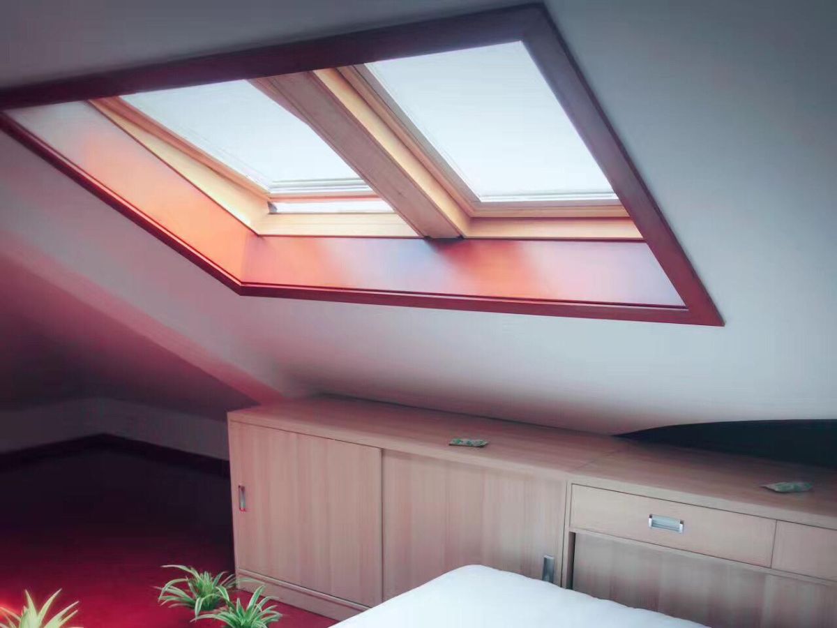 Roof Window 4