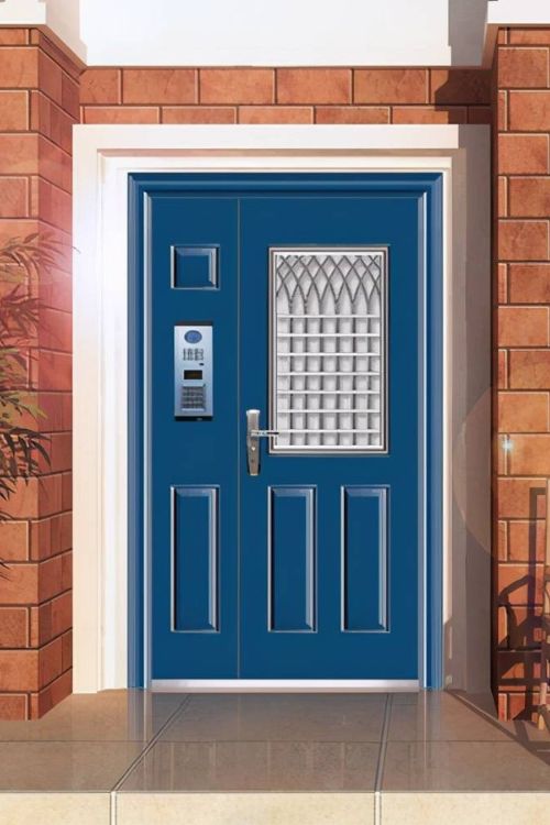 Security Door 19 Security Door 19