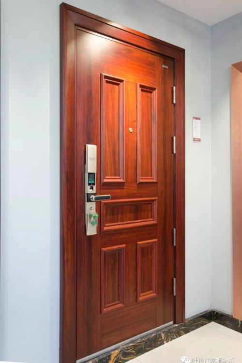 Security Door 10 Security Door 10