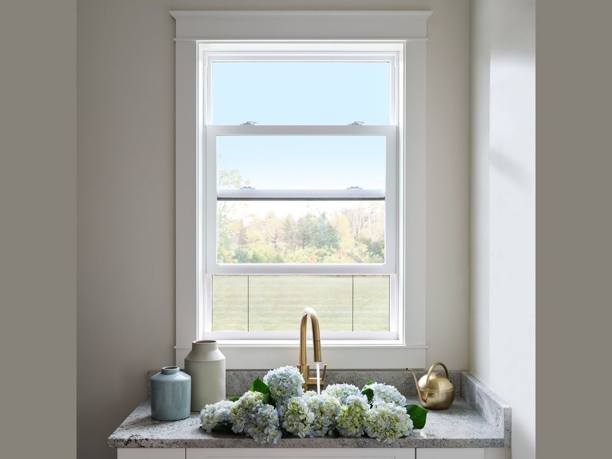 Single-Hung Window 4 Single-Hung Window 4