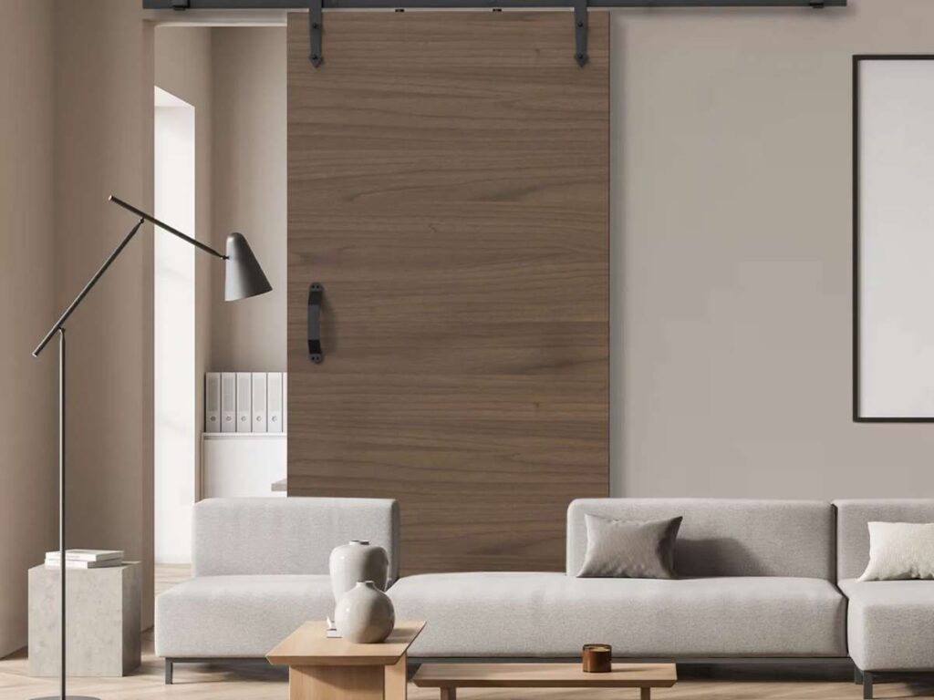 6 Stylish Barn Door Design Ideas 3