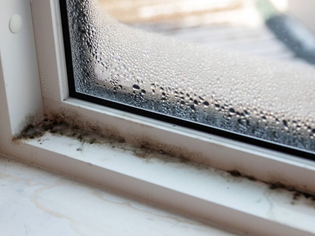 Common Commercial Window Problems and How to Fix Them 6